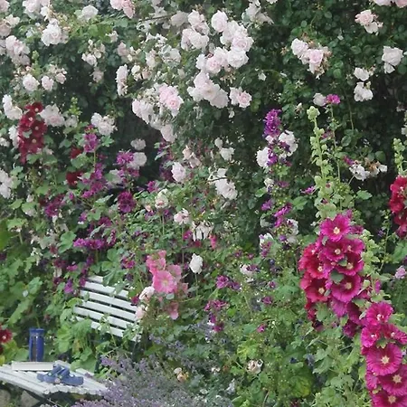 Muehlenblick * Pommerby (Gelting)