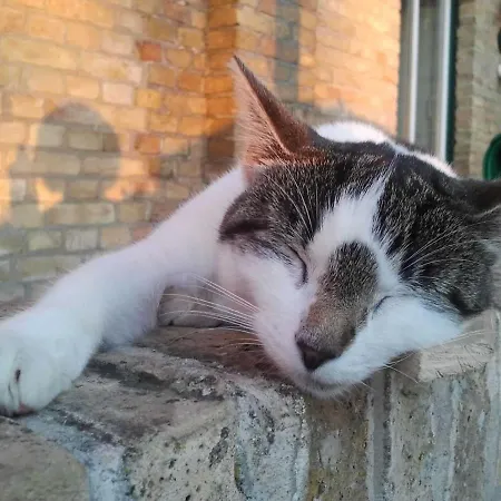 Gospodarstwo agroturystyczne Muehlenblick Pommerby (Gelting)